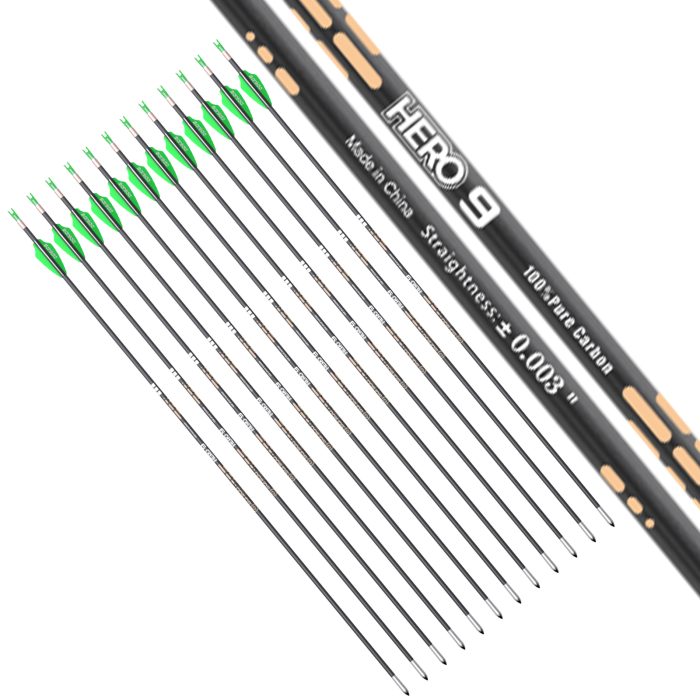 Hero 9 Carbon Arrows