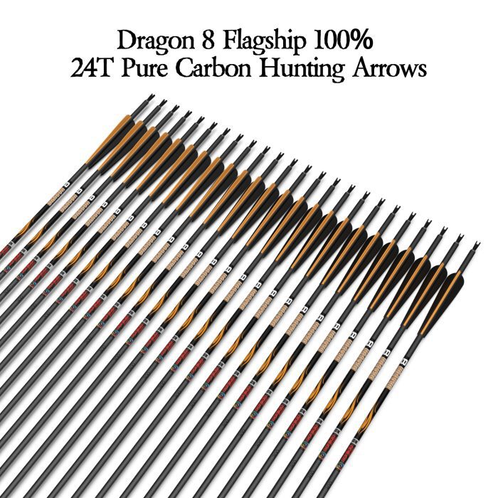 Dragon 8 Carbon Arrows