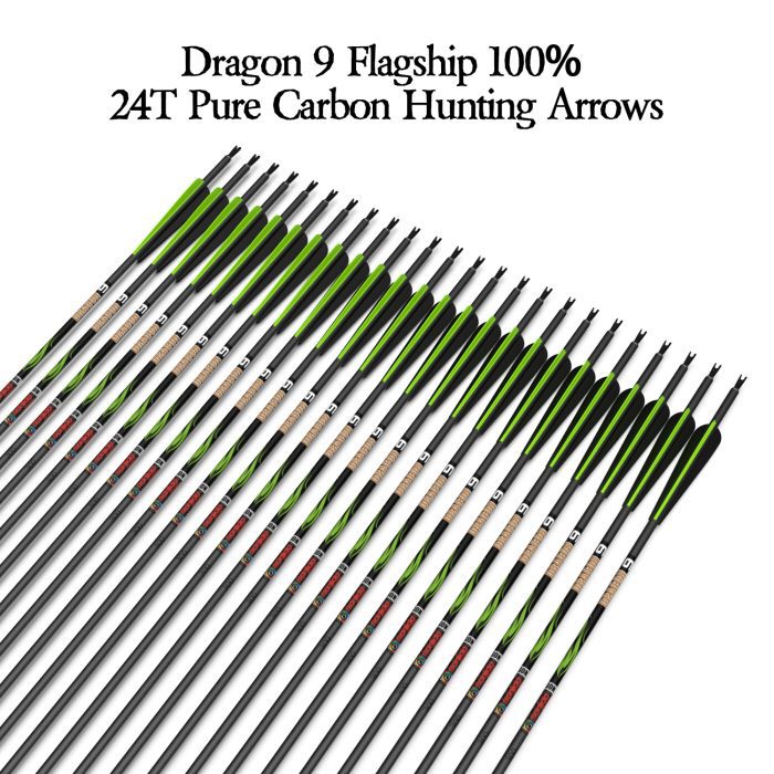 Dragon 9 Carbon Arrows